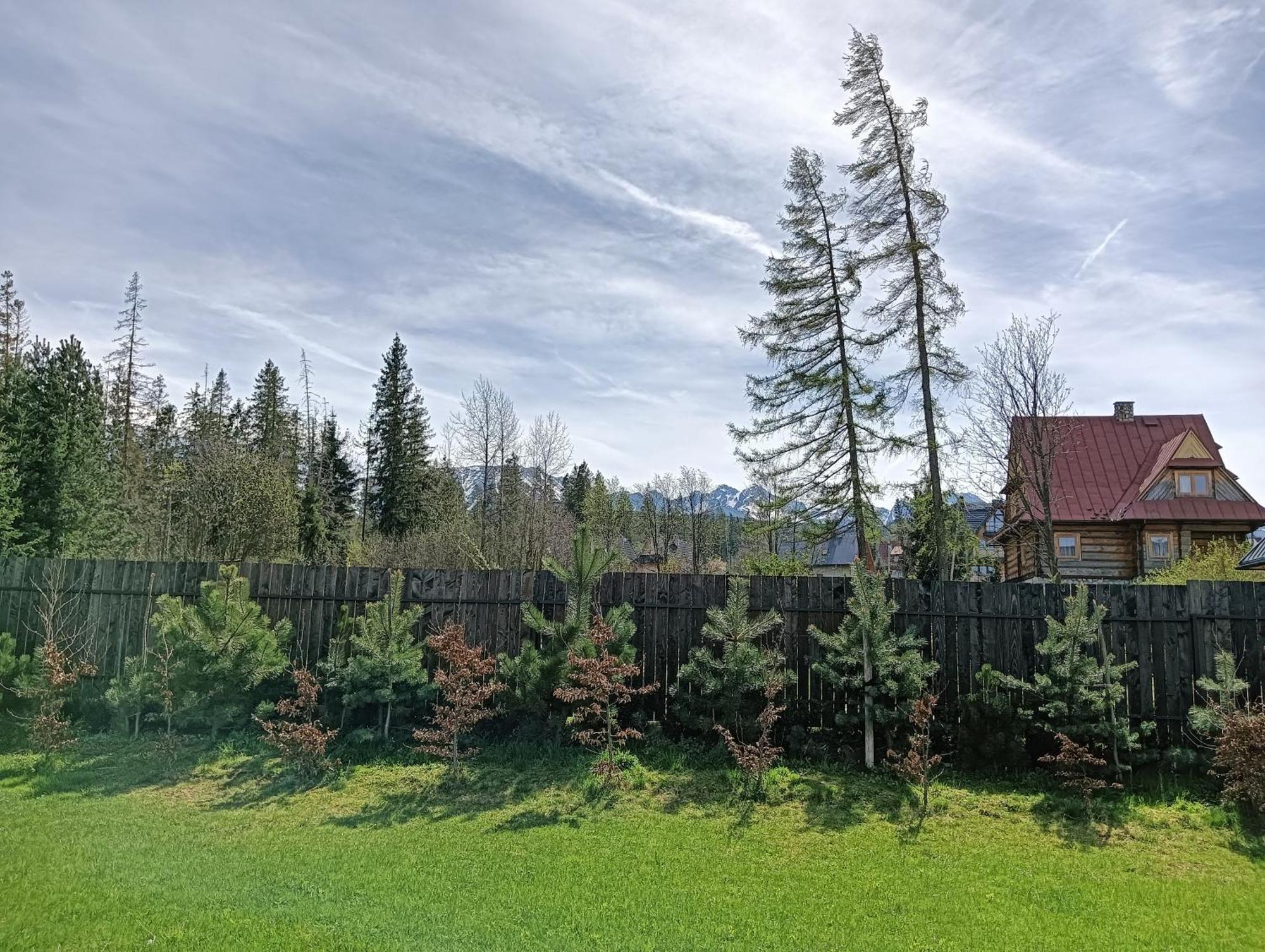 Apartament Nad Stawem ザコパネ エクステリア 写真