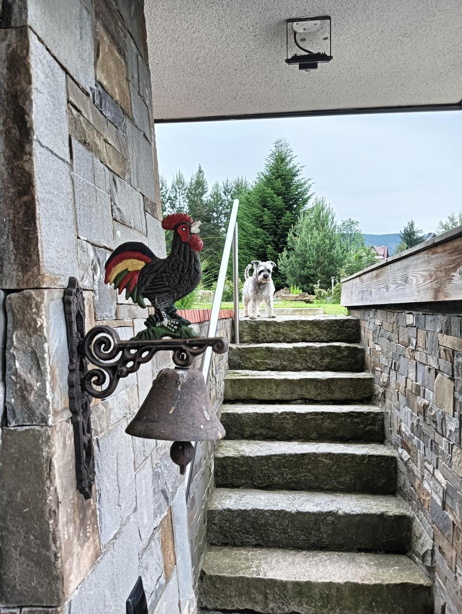 Apartament Nad Stawem ザコパネ エクステリア 写真